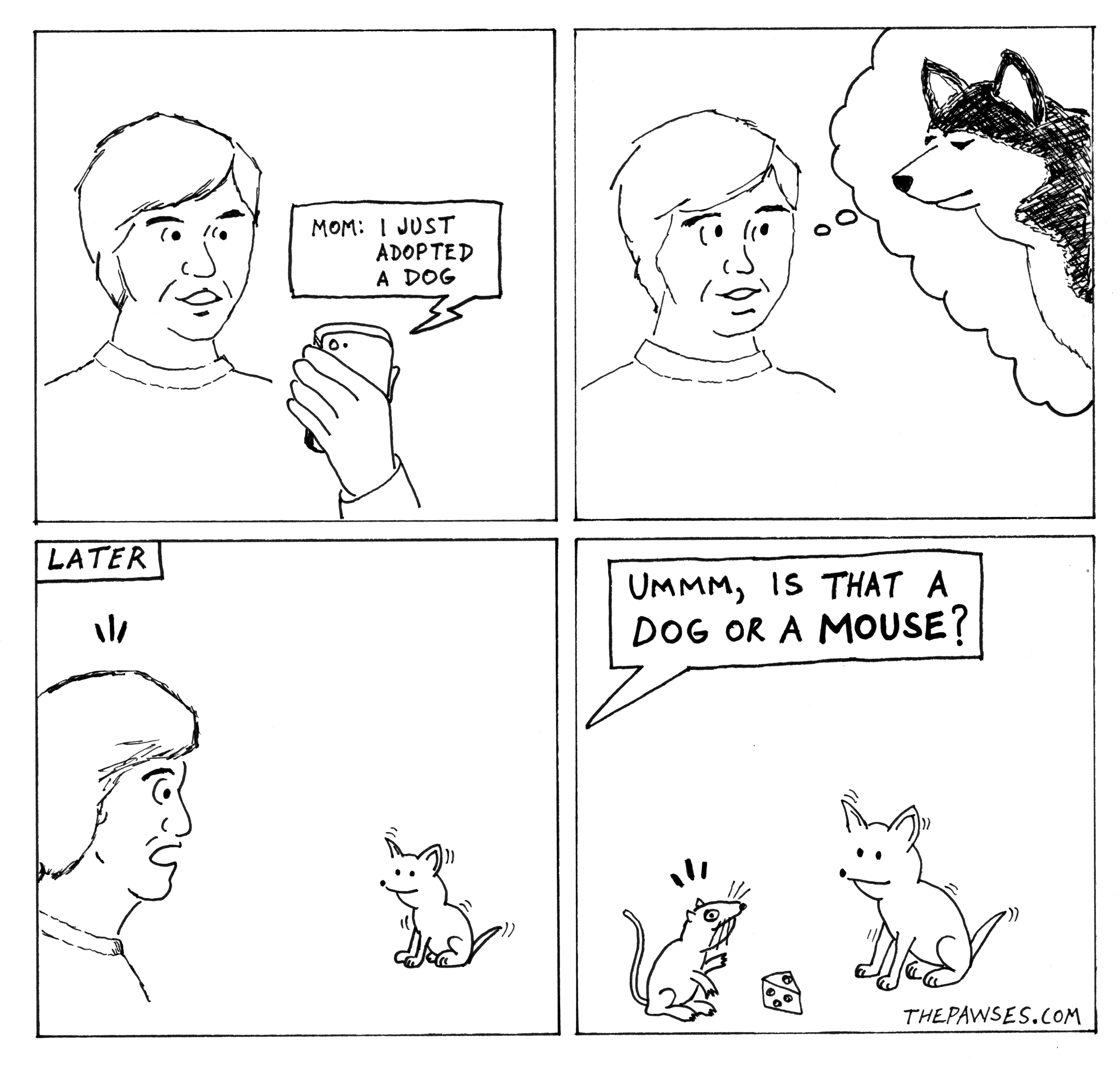 How Mouse Got HIs Name