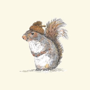 Pen and watercolor drawing of a squirrel wearing an acorn hat