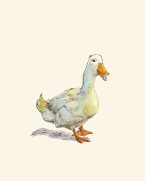 Waddle Duck pen and watercolor drawing